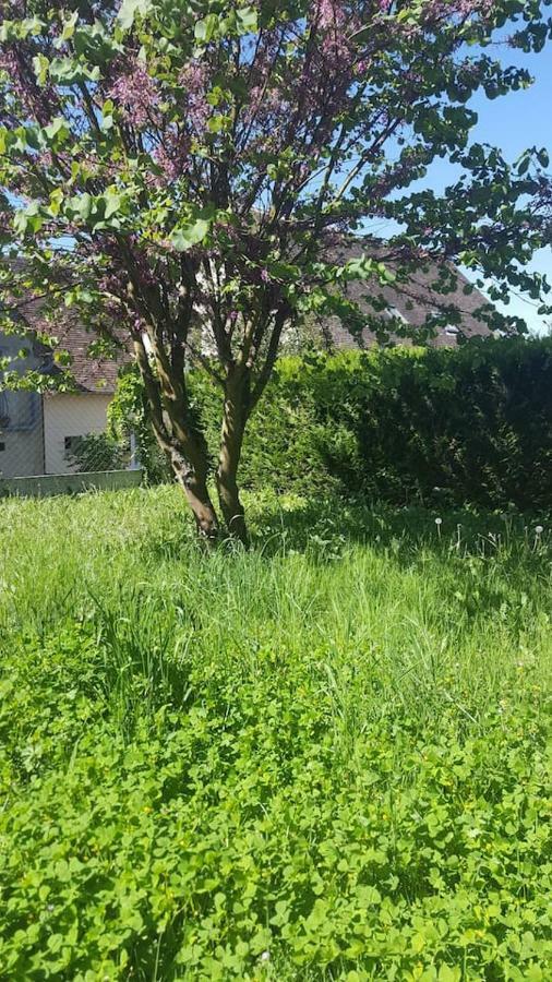 Maison De Campagne A 1H20 De Paris Villa Saint-Hilaire-les-Andresis Exteriör bild